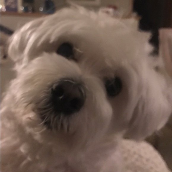 Meet your posher! - Picture 3 of 8